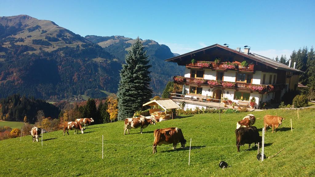 Hof Hamoos Apartment Kitzbuhel Bagian luar foto